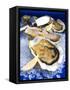 Oysters on Ice (Ostrea Edulis), France, Europe-null-Framed Stretched Canvas
