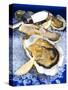 Oysters on Ice (Ostrea Edulis), France, Europe-null-Stretched Canvas