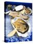 Oysters on Ice (Ostrea Edulis), France, Europe-null-Stretched Canvas