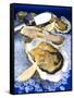 Oysters on Ice (Ostrea Edulis), France, Europe-null-Framed Stretched Canvas
