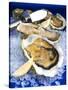 Oysters on Ice (Ostrea Edulis), France, Europe-null-Stretched Canvas