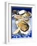 Oysters on Ice (Ostrea Edulis), France, Europe-null-Framed Photographic Print