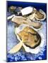 Oysters on Ice (Ostrea Edulis), France, Europe-null-Mounted Photographic Print