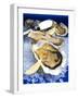 Oysters on Ice (Ostrea Edulis), France, Europe-null-Framed Photographic Print