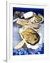 Oysters on Ice (Ostrea Edulis), France, Europe-null-Framed Photographic Print