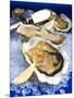 Oysters on Ice (Ostrea Edulis), France, Europe-null-Mounted Photographic Print