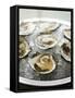 Oysters on Ice-Matilda Lindeblad-Framed Stretched Canvas