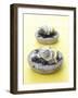 Oysters with Seaweed in Stone Bowl-Alexander Van Berge-Framed Photographic Print