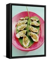 Oysters with Tomato Oil and Jalapeno (Chili Rings)-Alexander Van Berge-Framed Stretched Canvas