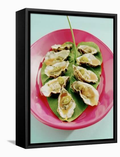 Oysters with Tomato Oil and Jalapeno (Chili Rings)-Alexander Van Berge-Framed Stretched Canvas