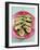 Oysters with Tomato Oil and Jalapeno (Chili Rings)-Alexander Van Berge-Framed Photographic Print