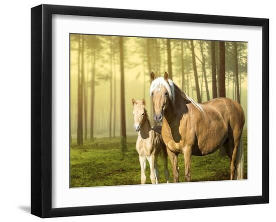 Premium Photographic Print, , large