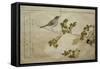 P.332-1946 Vol.2 F.2 Manchurian Great Tit and a Robin, from an Album 'Birds Compared in Humorous…-Kitagawa Utamaro-Framed Stretched Canvas