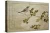 P.332-1946 Vol.2 F.2 Manchurian Great Tit and a Robin, from an Album 'Birds Compared in Humorous…-Kitagawa Utamaro-Stretched Canvas