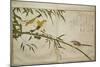 P.332-1946 Vol.2 F.6 Long-Tailed Tit and Three White Eyes, from an Album 'Birds Compared in…-Kitagawa Utamaro-Mounted Premium Giclee Print