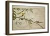 P.332-1946 Vol.2 F.6 Long-Tailed Tit and Three White Eyes, from an Album 'Birds Compared in…-Kitagawa Utamaro-Framed Giclee Print