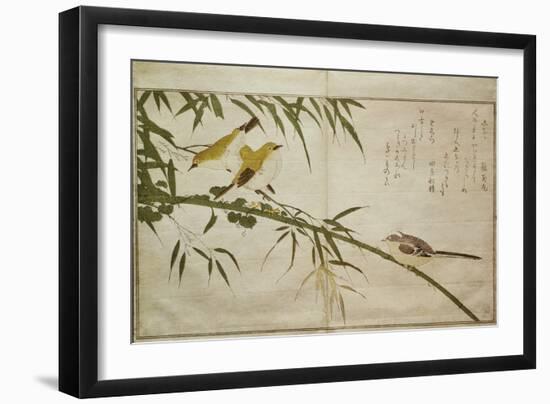 P.332-1946 Vol.2 F.6 Long-Tailed Tit and Three White Eyes, from an Album 'Birds Compared in…-Kitagawa Utamaro-Framed Giclee Print
