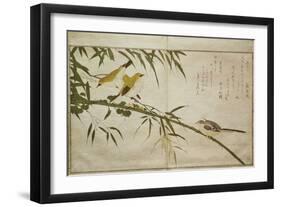 P.332-1946 Vol.2 F.6 Long-Tailed Tit and Three White Eyes, from an Album 'Birds Compared in…-Kitagawa Utamaro-Framed Giclee Print