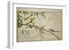 P.332-1946 Vol.2 F.6 Long-Tailed Tit and Three White Eyes, from an Album 'Birds Compared in…-Kitagawa Utamaro-Framed Giclee Print