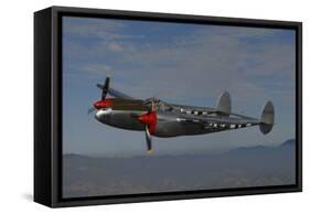 P-38 Lightning Flying over Santa Rosa, California-Stocktrek Images-Framed Stretched Canvas