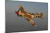 P-40 Warhawk Flying over Chino, California-Stocktrek Images-Mounted Photographic Print