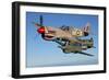 P-40 Warhawks Flying over Chino, California-Stocktrek Images-Framed Photographic Print