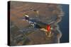 P-47 Thunderbolts Flying over Chino, California-Stocktrek Images-Stretched Canvas