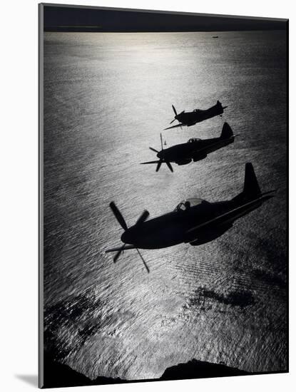 P-51 Cavalier Mustang with Supermarine Spitfire Fighter Warbirds-Stocktrek Images-Mounted Photographic Print