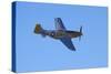 P-51 Mustang, American Fighter Plane, War Plane-David Wall-Stretched Canvas