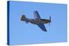 P-51 Mustang, American Fighter Plane, War Plane-David Wall-Stretched Canvas