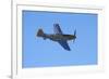 P-51 Mustang, American Fighter Plane, War Plane-David Wall-Framed Premium Photographic Print