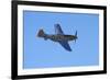 P-51 Mustang, American Fighter Plane, War Plane-David Wall-Framed Premium Photographic Print