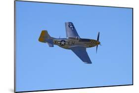 P-51 Mustang, American Fighter Plane, War Plane-David Wall-Mounted Photographic Print