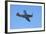 P-51 Mustang, American Fighter Plane, War Plane-David Wall-Framed Photographic Print