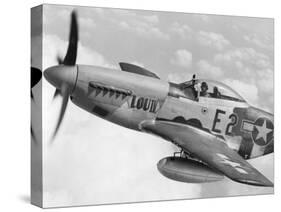 P-51 Mustang Fighter Plane in Flight. it Was a World War 2 Era Long-Range-null-Stretched Canvas