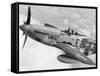 P-51 Mustang Fighter Plane in Flight. it Was a World War 2 Era Long-Range-null-Framed Stretched Canvas