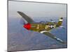 P-51B Mustang in Flight Over China, California-Stocktrek Images-Mounted Photographic Print
