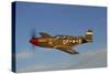 P-51C Mustang Flying over Chino Hills, California-Stocktrek Images-Stretched Canvas