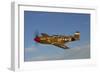 P-51C Mustang Flying over Chino Hills, California-Stocktrek Images-Framed Photographic Print