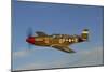 P-51C Mustang Flying over Chino Hills, California-Stocktrek Images-Mounted Photographic Print