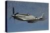 P-51D Mustang Flying over Santa Rosa, California-Stocktrek Images-Stretched Canvas