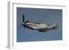 P-51D Mustang Flying over Santa Rosa, California-Stocktrek Images-Framed Photographic Print