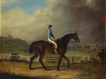 Mr. Hindley's Brown Filly 'Rosina' by 'Romulus' Ridden by the Owner on Lincoln Race Course-P. Ewbank-Stretched Canvas