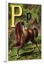 P For the Pony That Plays In the Park-Edmund Evans-Framed Art Print