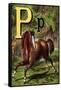 P For the Pony That Plays In the Park-Edmund Evans-Framed Stretched Canvas