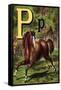 P For the Pony That Plays In the Park-Edmund Evans-Framed Stretched Canvas