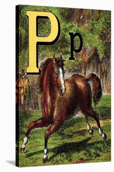 P For the Pony That Plays In the Park-Edmund Evans-Stretched Canvas