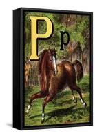 P For the Pony That Plays In the Park-Edmund Evans-Framed Stretched Canvas