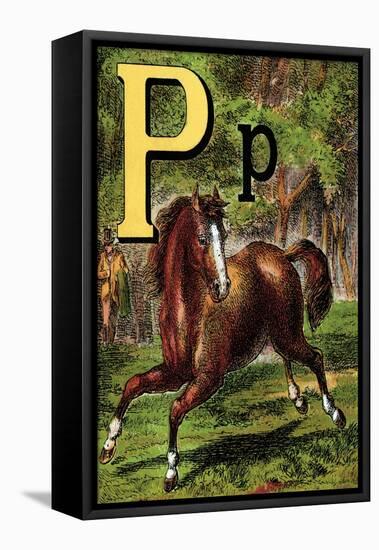 P For the Pony That Plays In the Park-Edmund Evans-Framed Stretched Canvas