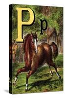 P For the Pony That Plays In the Park-Edmund Evans-Stretched Canvas